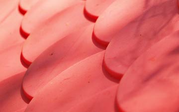 Polmarth plastic roof costs